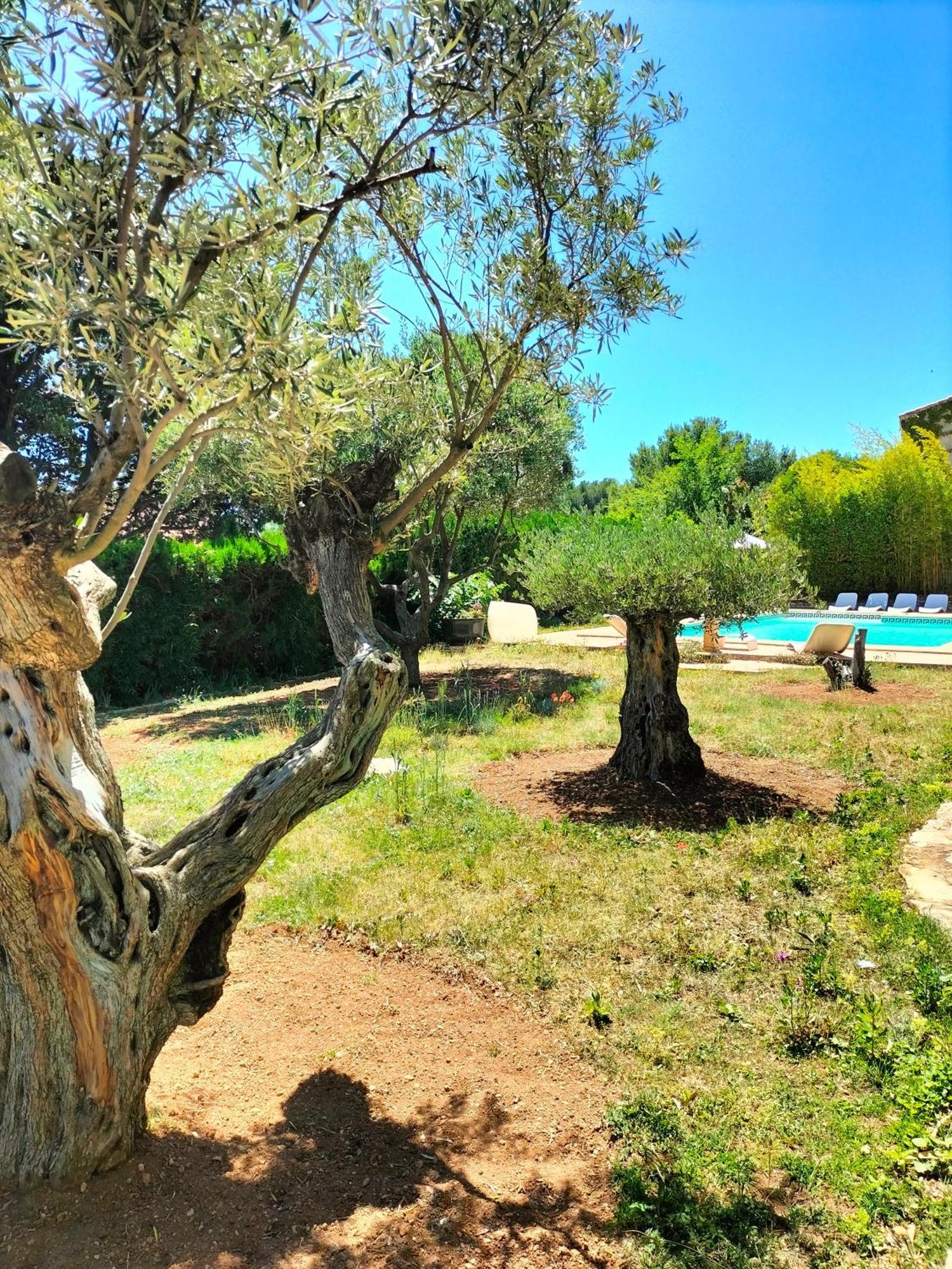 Vacances Carnoux-en-Provence Extérieur photo
